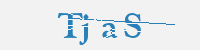 보안문자